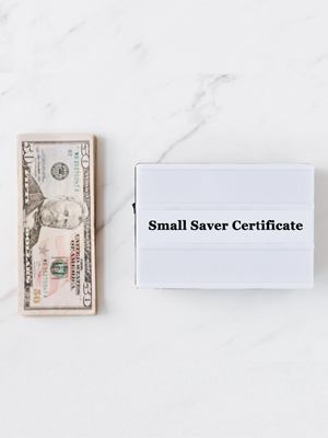 Are You Worried About Your Child's future? Invest In Small Saver Certificate To Enjoy Unlimited Benefits