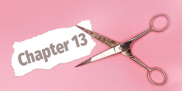 Chapter 13 exemptions - What nobody would ever tell you