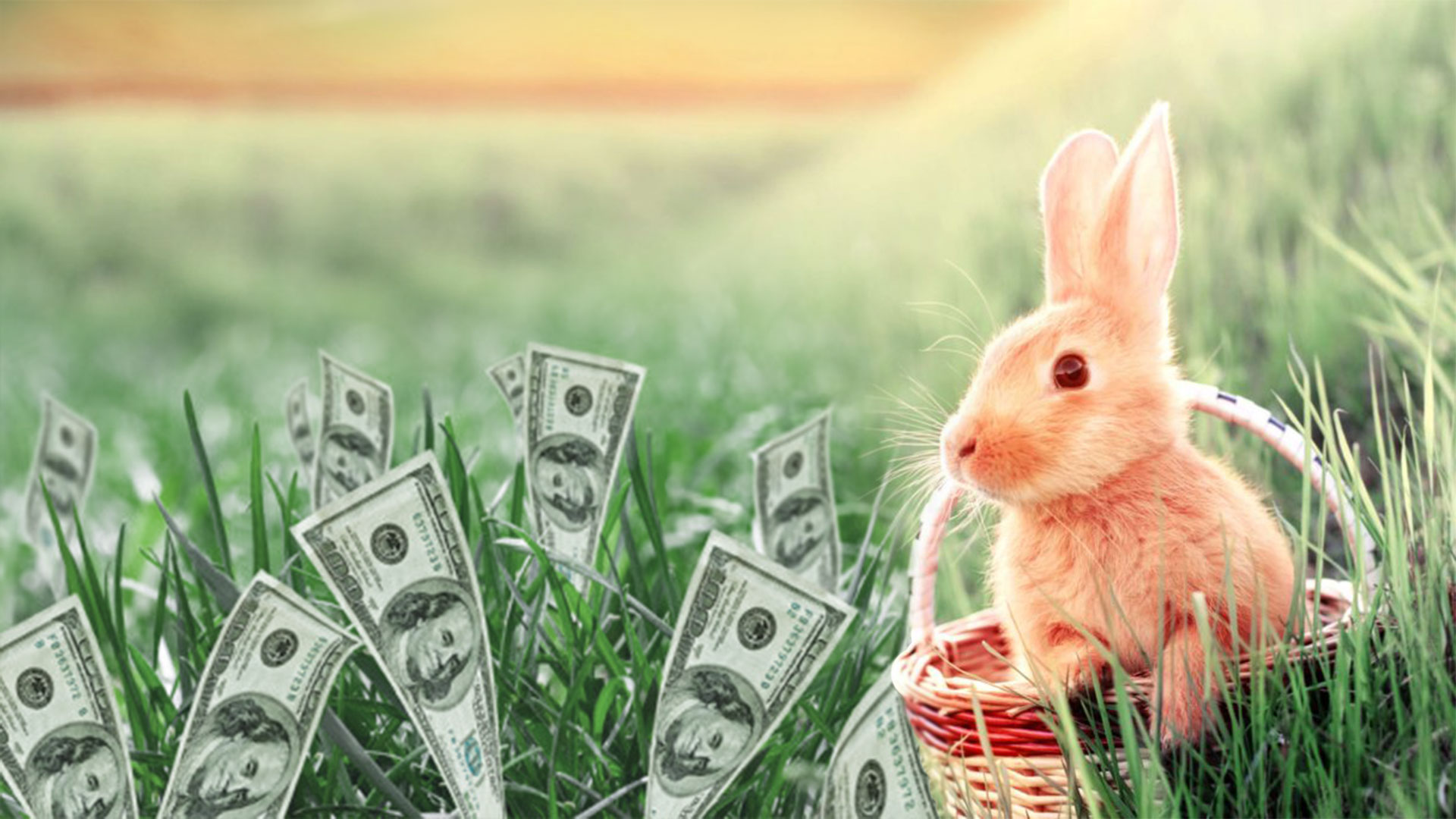 6 Ways to make money instead of munching candies Easter-ways-to-make-money-instead-of-munching-candies