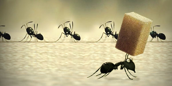 Don't just follow; set money rules on your own Don't-just-follow-set-money-rules-on your-own