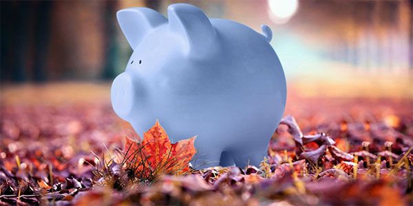 9 Exclusive tips to save money this fall