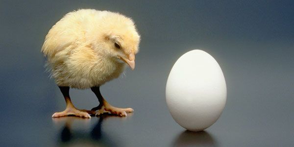 Saving for retirement or paying off debts: Which comes first?
