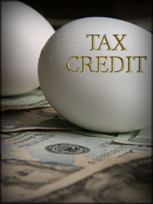 Is your tax liability only comprised of premium tax credit? Skip late filing penalty to save money.
