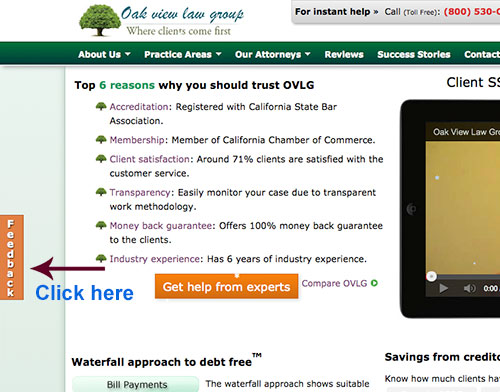 OVLG Feedback section